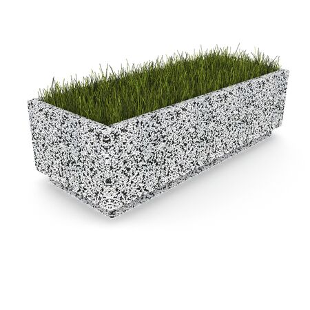 3D model flower potの写真素材