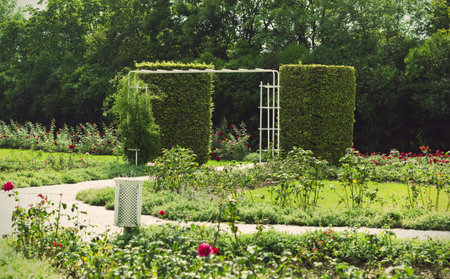 Summer view of a gardenの写真素材