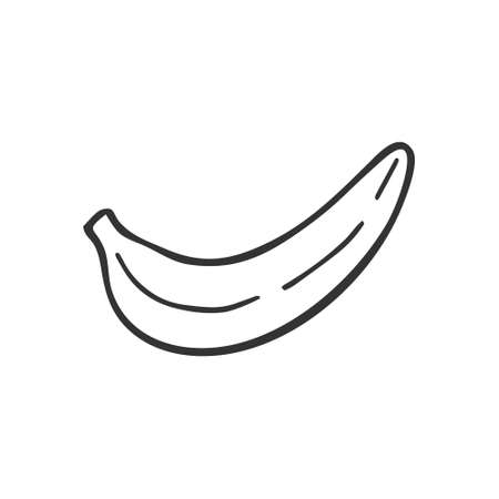 Single hand drawn banana. In doodle style, black outline isolated on white background. Cute element for card, social media banner, sticker, print, decoration kids playroom. vector illustration.のイラスト素材