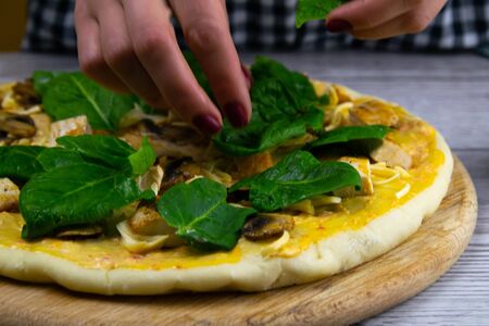 Woman lays spinach leaves on pizza dough. Fresh original italian raw pizza. Preparatory process.の写真素材
