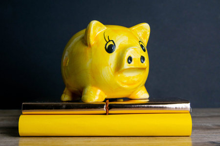 Yellow piggy bank stands on a stack of books on a dark background.の写真素材