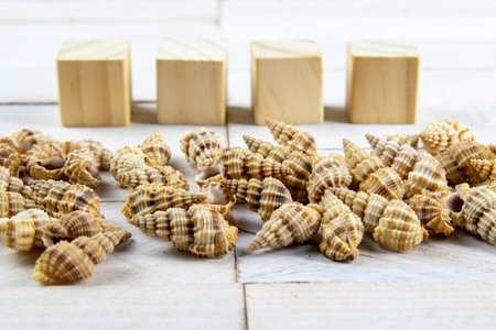 Shell-stocked in a bunch, there is room inside for a message together with the wood cubes on which...