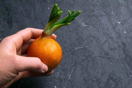 White onion in hands, vegetables and fruits on dark background.の写真素材
