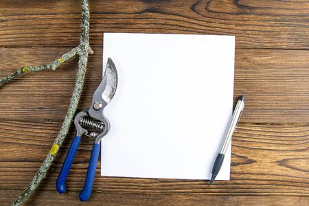 Blue pruning shears with a branch and a white sheet of paper on wood background. Top views with clear space.の写真素材