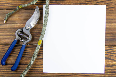 Blue pruning shears with a branch and a white sheet of paper on wood background. Top views with...