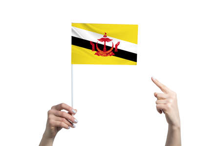 A beautiful female hand holds a Brunei flag to which she shows the finger of her other hand, isolated on white background.の写真素材
