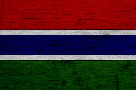 Flag of Gambia. Wooden texture of the flag of Gambia.の写真素材