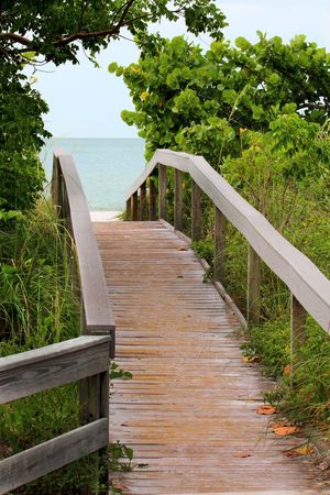 Bridge leading to the oceanの写真素材