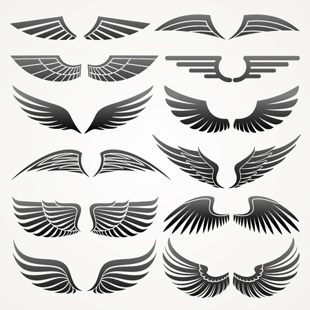 Wings. Elements for design. Vector illustration.のイラスト素材