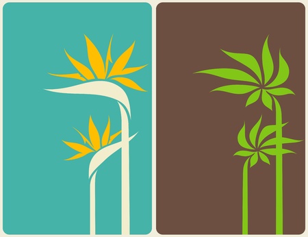 Bird of paradise flower and palm tree leaf. Vector illustration.のイラスト素材