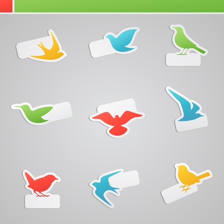 Set of multicolored birds with tags. Vector logo template set.のイラスト素材