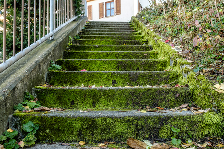Der vergessene Weg zum Haus.の写真素材