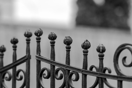 Wrought-iron fencing painted black with the decorations. The background is blurred. Shallow depth of field.の写真素材