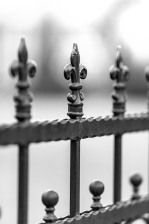 Wrought-iron fencing painted black with the decorations. The background is blurred. Shallow depth of field.の写真素材
