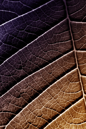 A leaf of a plant photographed with a macro lens. Small details of the plant are visible.