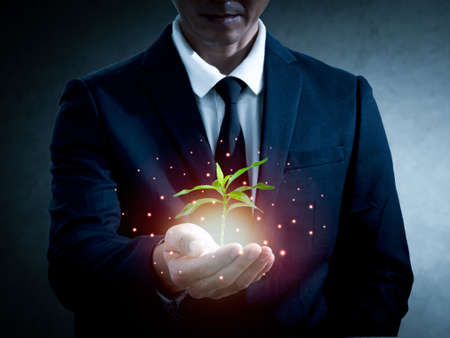 An Asian man in a suit puts his hand forward. In the hand was a small tree And there is a light in the palm of the hand, the background is blurredの写真素材