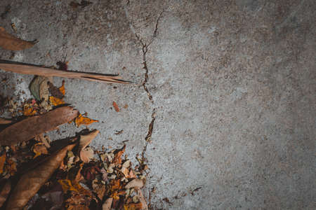 Dry leaves on cement floorの写真素材