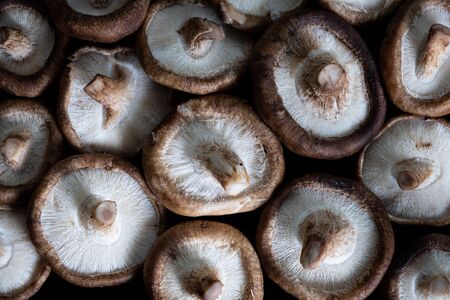 detail group of shiitake mushroomsの写真素材