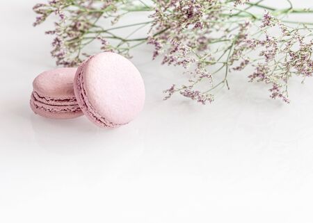 Delicious violet macarons with flowers on white backgroundの写真素材
