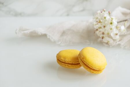 Lemon macarons with white flowers on white backgroundの写真素材