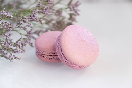 Violet macarons with flowers on white backgroundの写真素材