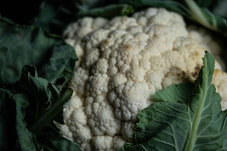 White cauliflower detail with green leavesの写真素材