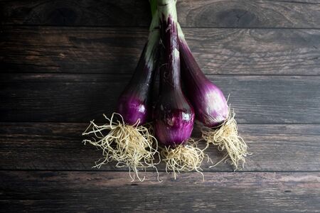 group of red onion with roots on wooden backgroundの写真素材
