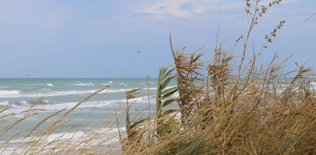 Rough sea in the summer - holidays and relaxation