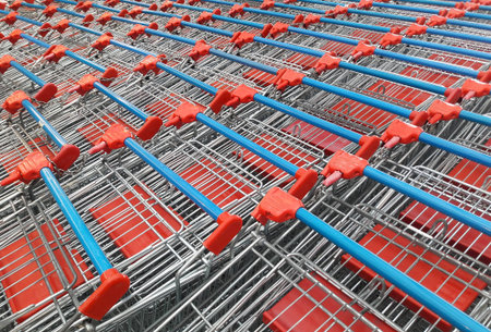 Shopping at the mall with the trolley