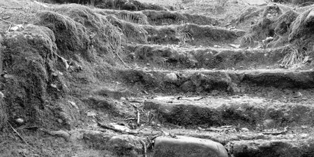 Old stone staircase in the park