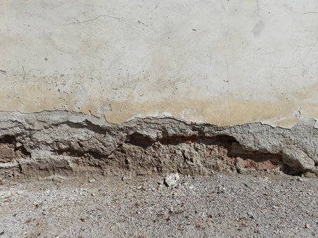 Damage to buildings caused by rising damp