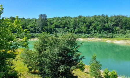 Lake in the nature reserve in summer