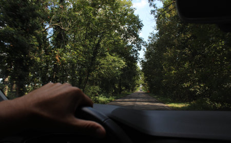 Driving the car in the countryside on a sunny day