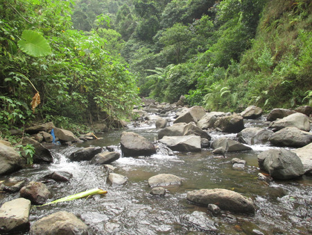 Madakaripura Springの写真素材