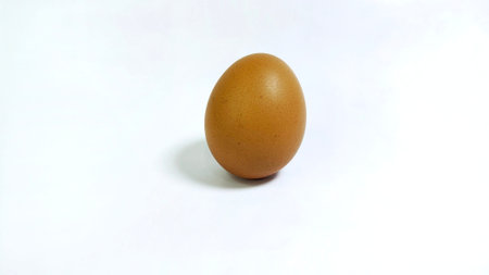 One Egg Isolated on white background, brown chicken egg.