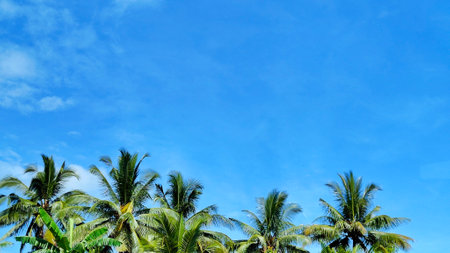 Panoramic View of Tropical Coastline and Lush Forest Under Cloudy Skiesの写真素材