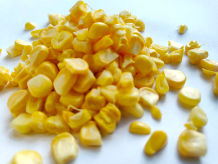 Close-up of a pile of fresh, yellow corn kernelsの写真素材