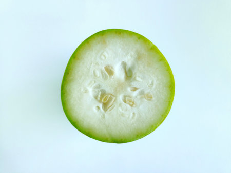 Close-up of a cross-section of a fresh ash gourd, showing white flesh and seedsの写真素材