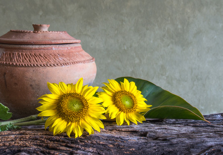 still life beautiful sunflowersの写真素材