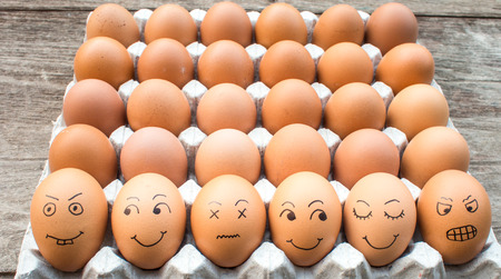 egg Familyの写真素材