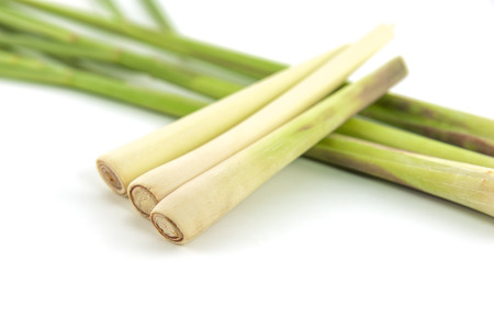 Lemon grass on white backgroundの写真素材
