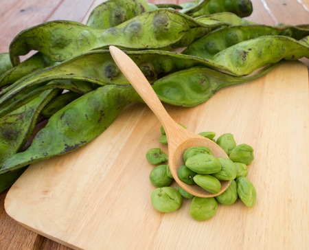 Stink bean (Parkia speciosa Hassk.) Native vegetation in the south of Thailandの写真素材