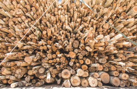 Pile of wood stacked to prepare to the privatization.の写真素材