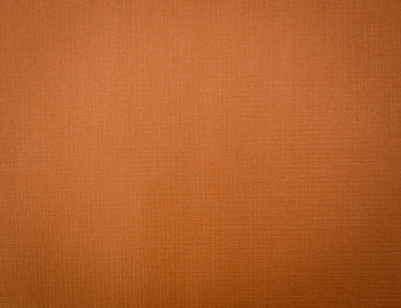 paper Texture Backgroundの写真素材