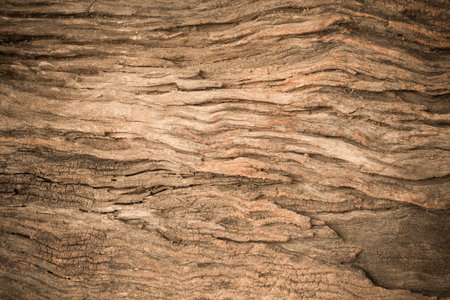 Wood texture suitable for background.の写真素材