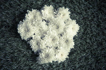 White flowers placed on the lawn look beautiful.の写真素材