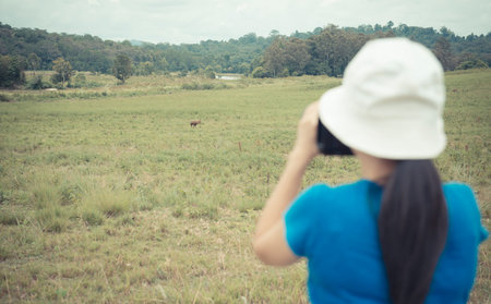 Female tourist taking pictures of animals on pasture.,vintage style