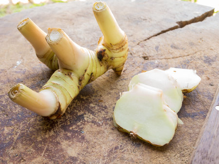 Galangal herb used in cookingの写真素材