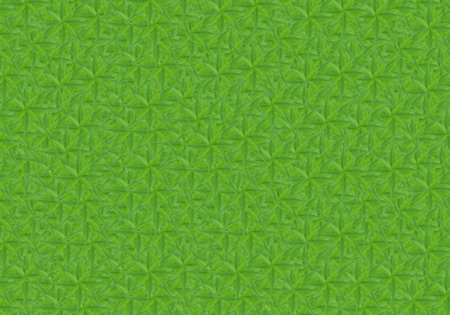 Fresh green leaves arranged in the background.