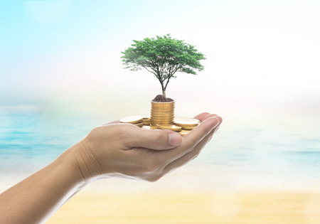 Human hand holding a gold medal and tree with the background blurred sky with light and beautiful bokeh. Business concept.の写真素材